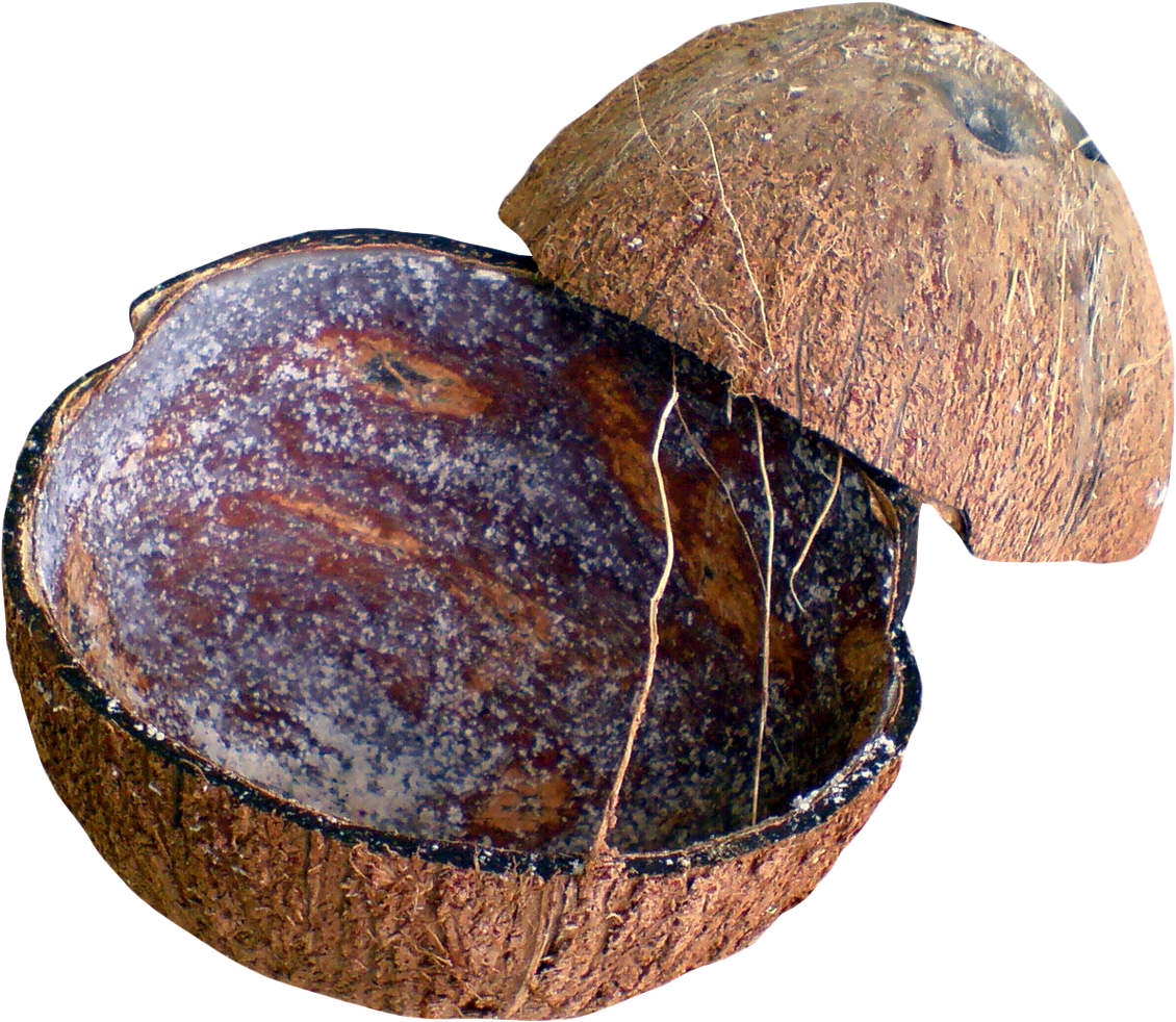 Coconut Shell Png Transparent Image - Coconut Shell Png (1281x1118), Png Download
