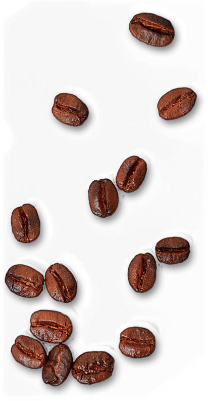 Png Coffee Beans Falling Clip Art Black And White Library - Free Coffee Packaging Mockup (429x811), Png Download