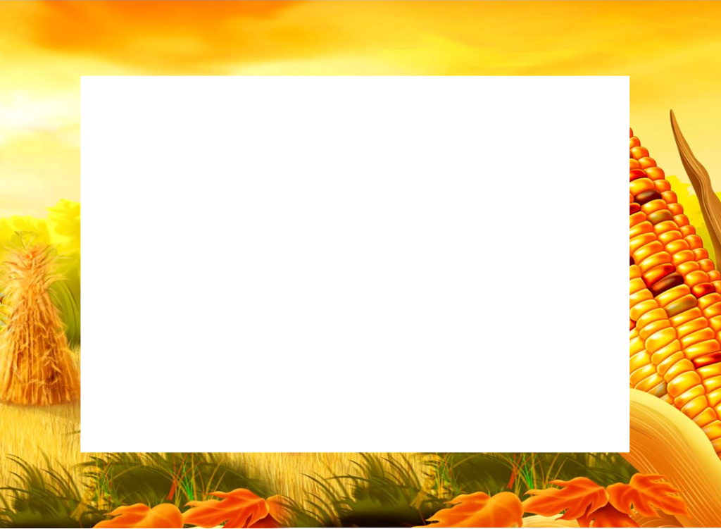 Fall Corn - 1080p (1024x751), Png Download