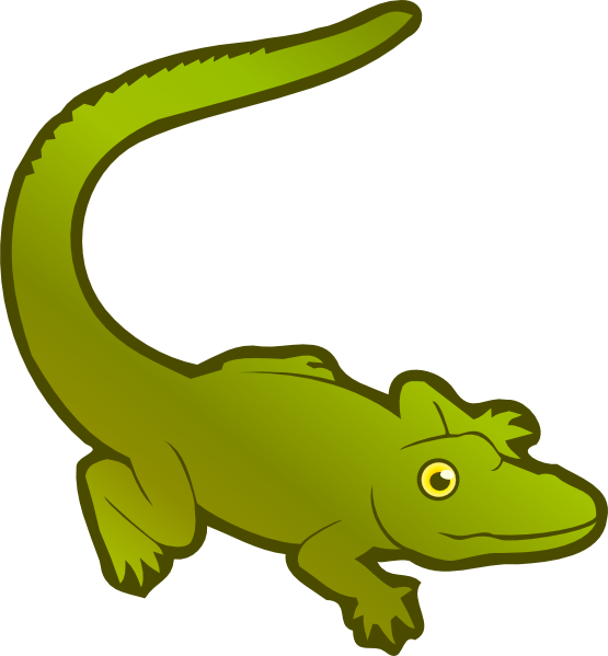 Alligator 555px 55 - Crocodile (555x599), Png Download