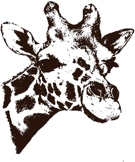 Researchers Found That The Giraffe Uses A System Similar - User Account (600x600), Png Download