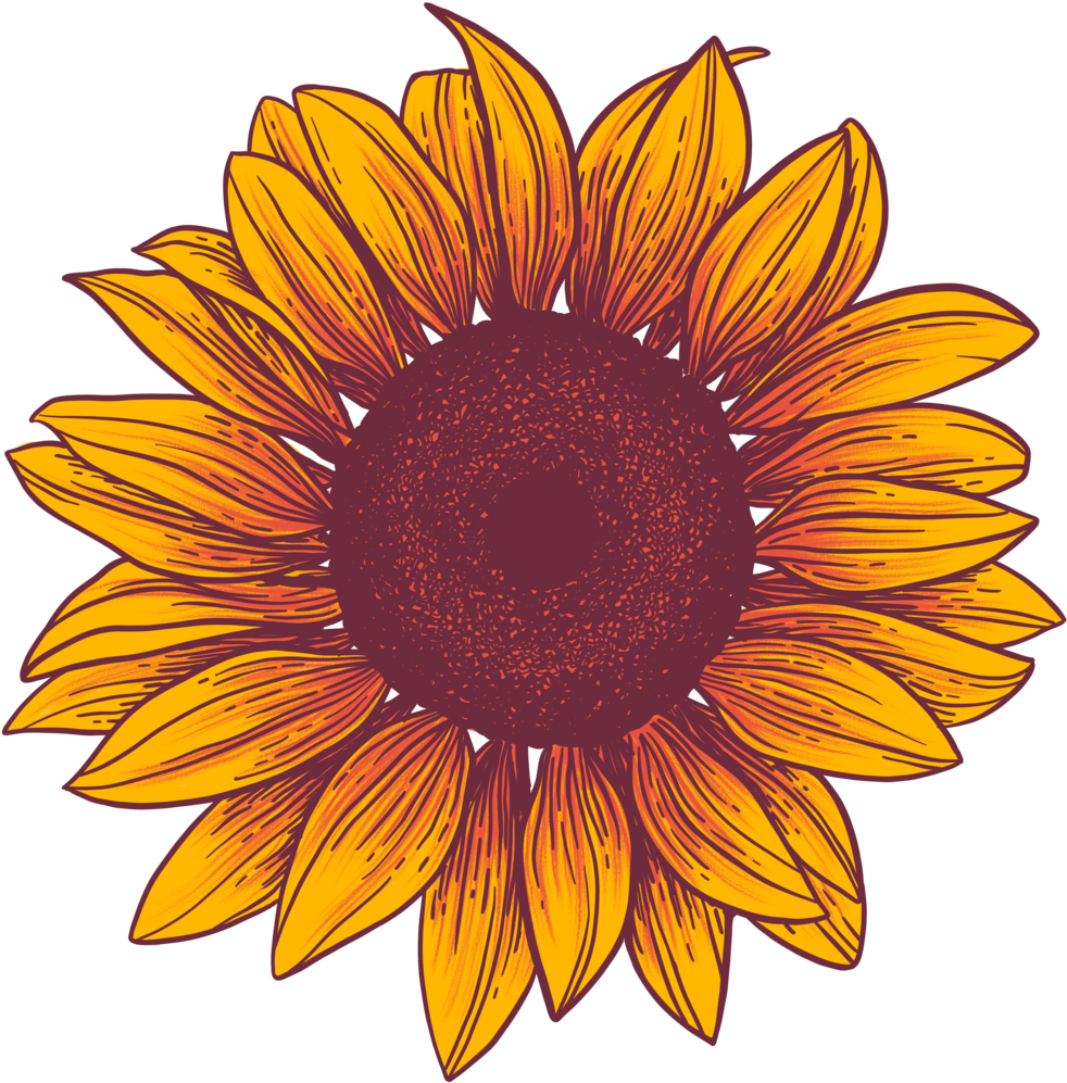 Rebranded Sf Lfower (1000x1000), Png Download