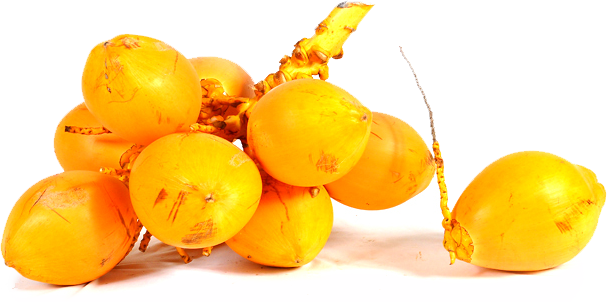 Compared With Varieties Of Aerated Water That Are Usually - Tender Coconut Srilanka (607x302), Png Download