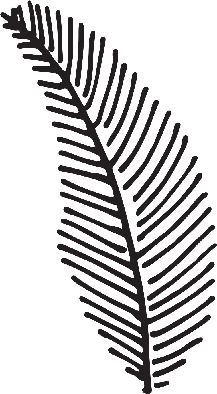 Kayla And Chris Fern Forest Nature Center Weddingwedding - Palm Beach (1500x1500), Png Download