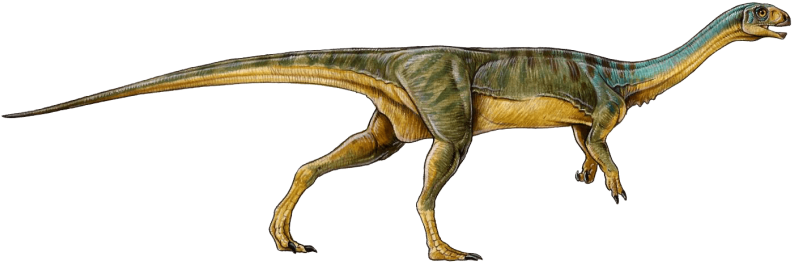 Free Png Dinosaur Png Pics Png Images Transparent - Dinosaure Végétarien (850x304), Png Download