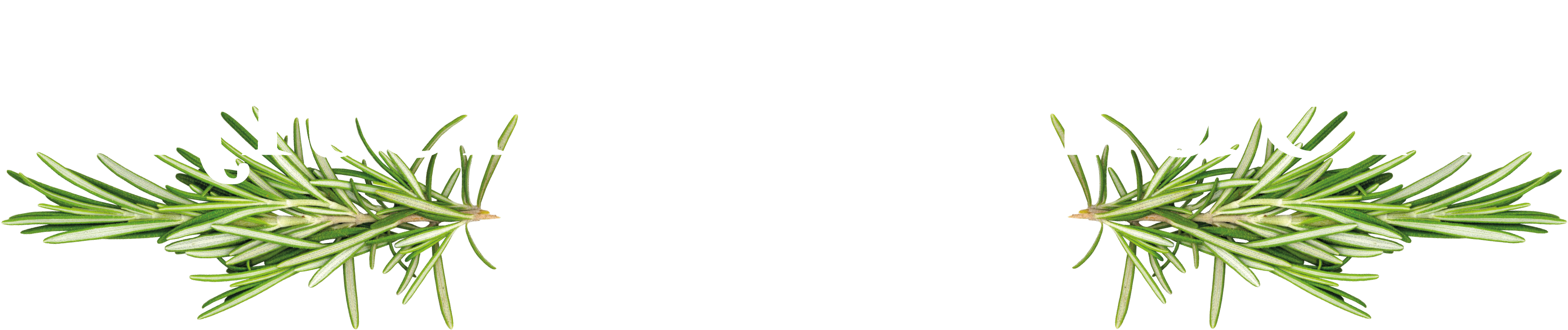 Kitchen Garden Plant Centre Logo Large - Logo (3861x1065), Png Download