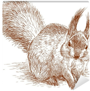 Red Squirrel (400x400), Png Download