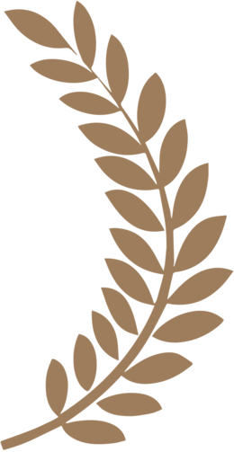 About 3600 Free Commercial & Noncommercial Clipart - Laurel Wreath Vector (260x503), Png Download