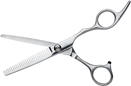 Png Stylexsalon A Very Large Used In Stylex - Hair Cutting Scissors Png (455x296), Png Download
