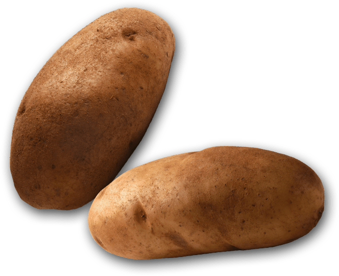 One Potato, Two Potatoes, Three Potatoes, Four Five - Russet Burbank Potato (696x567), Png Download