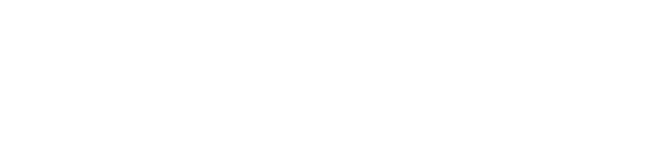 Venom Motorsport - Volkswagen Bora (961x280), Png Download