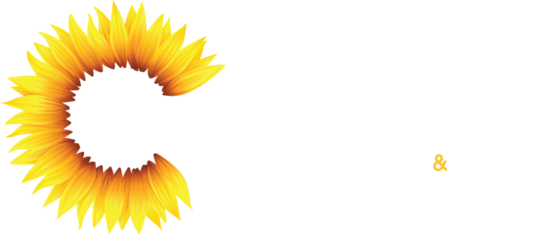 Logo - Belfast (806x339), Png Download