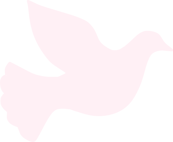 Peace Lavender Blush - Dove Clip Art White (555x455), Png Download