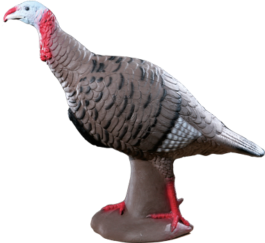 Tom-turkey - Rinehart 3d Targets (450x505), Png Download