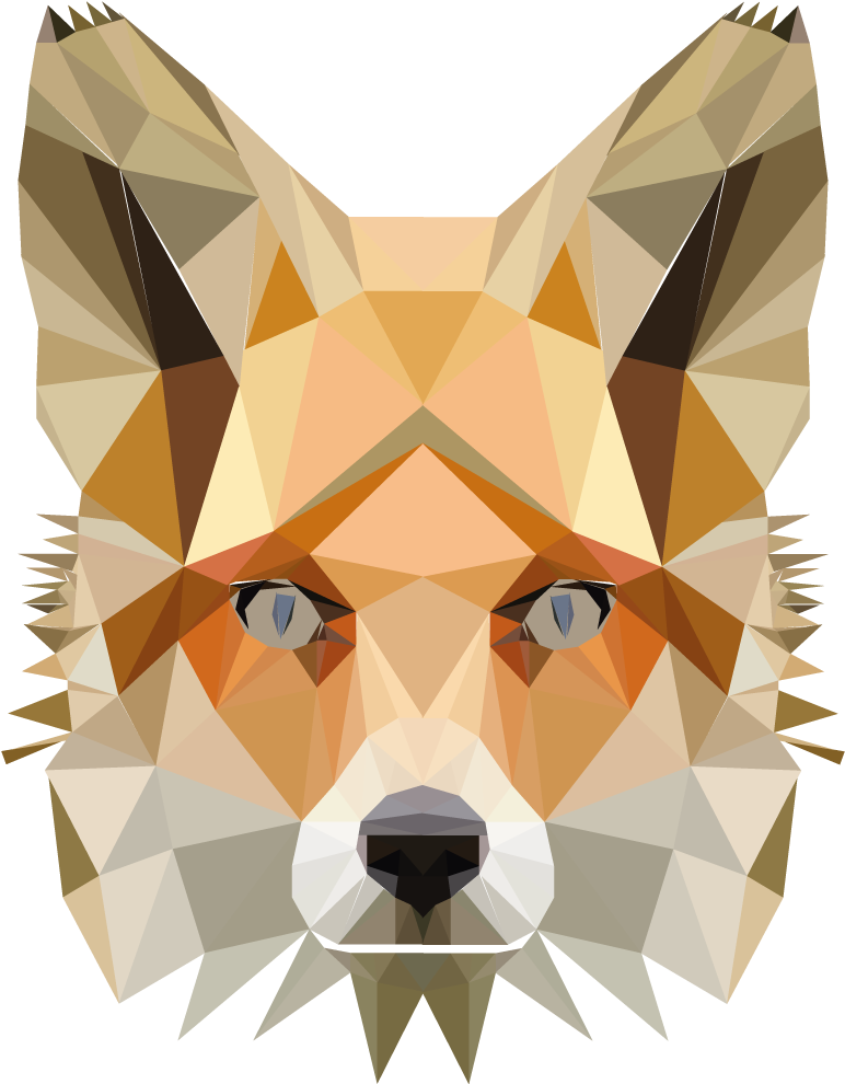 Fox - Red Fox (1134x1134), Png Download
