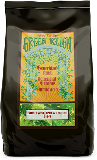 Green Reign Palm, Cycad, Fern & Tropical Tropical Plant - Earth Juice Green Reign Palm Fern Cycad Tropical 40 (600x600), Png Download