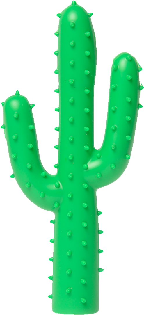 Silly Succulent, Cactus Dog Toy-0 - Toy Cactus (1400x1400), Png Download