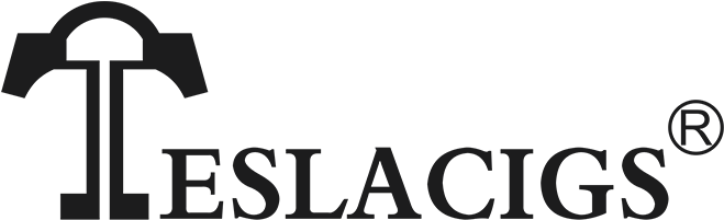 Tesla Nano 100w Tc - Teslacigs Logo Png (658x300), Png Download