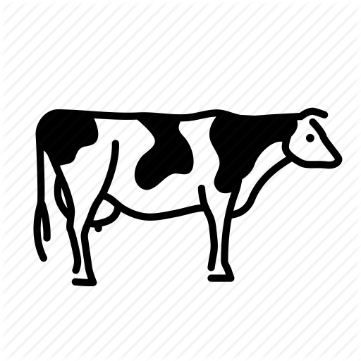 Rectangular Cow Png Download Cow - Cattle | Transparent PNG Download | SeekPNG
