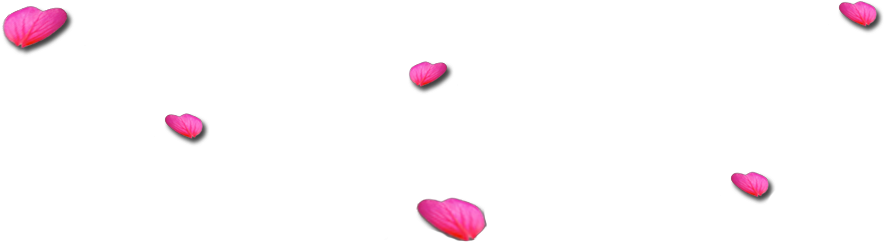 Rose Petals Png - Heart (1366x1000), Png Download