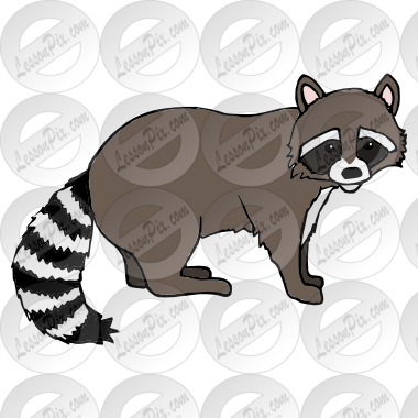 Png Transparent Download Raccoon Picture For Classroom - Raccoon (380x380), Png Download