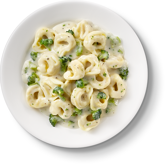 Alfredo Pasta Png (539x536), Png Download