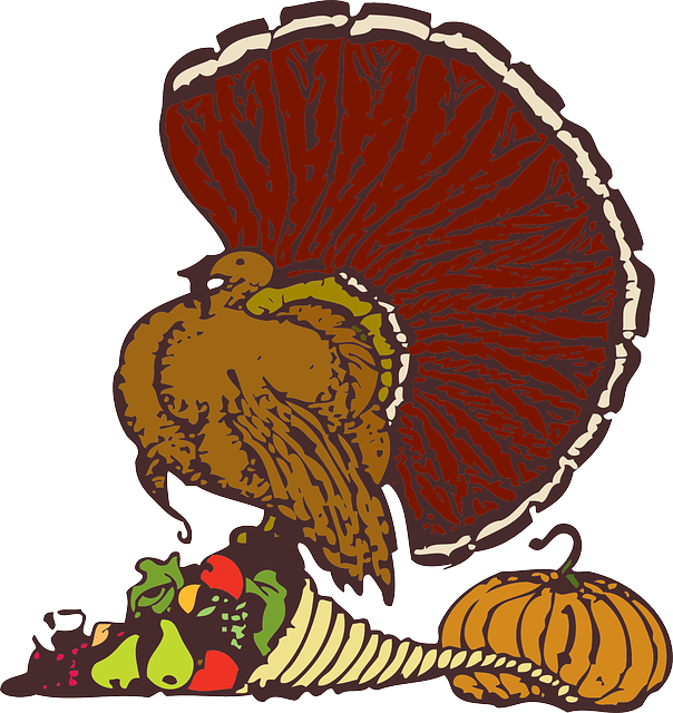 A Fading Turkey Tradition - Stuff It Throw Blanket (604x640), Png Download