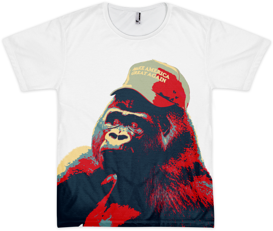 10 Dec - Common Chimpanzee (1000x1000), Png Download