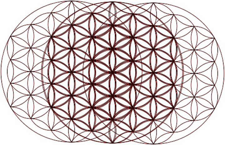 Download Flower Of Life Optical Illusion - Blume Des Lebens Pattern