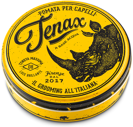 Tenax Hair Pomade Total Maximum Bright Light - Proraso Pomade (600x517), Png Download