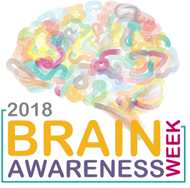 Brain Awareness Week 2018 (384x384), Png Download