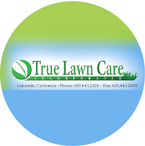 Angela Andrews, Vice President, True Lawn Care, Inc (488x492), Png Download