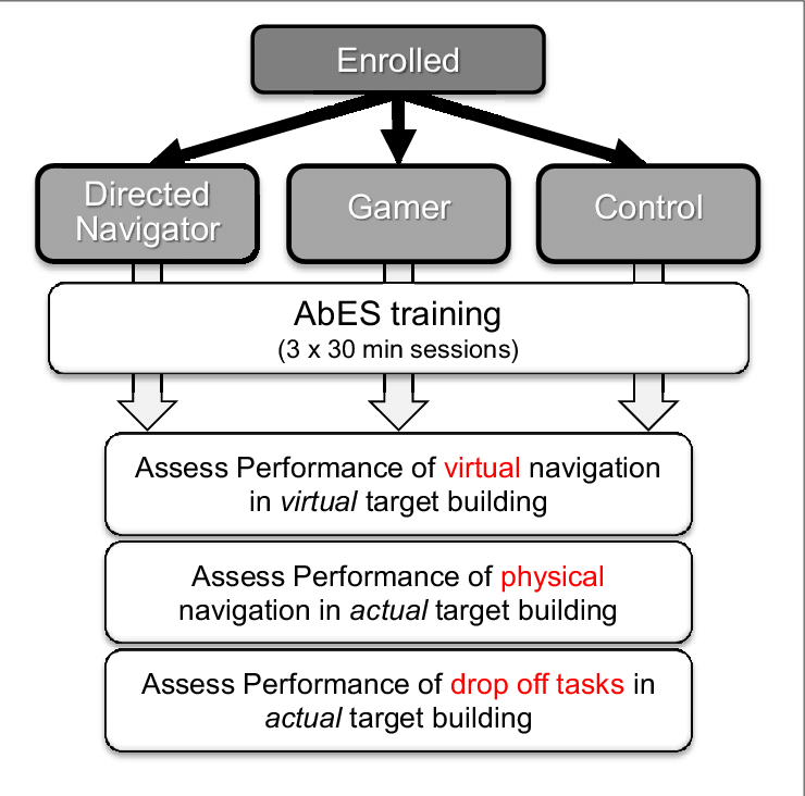 Using A Stratified Randomization Strategy, Early And - Clinical Study Design (740x732), Png Download