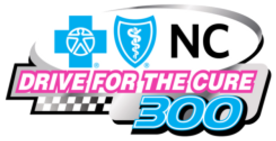 Drive For The Cure 300 Presented By Blue Cross Blue - 2018 Drive For The Cure 200 (570x303), Png Download