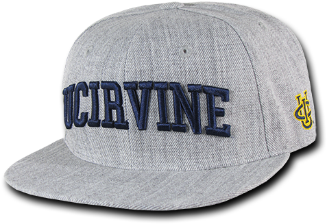 Ncaa Uci Anteaters Irvine University Of California (500x500), Png Download