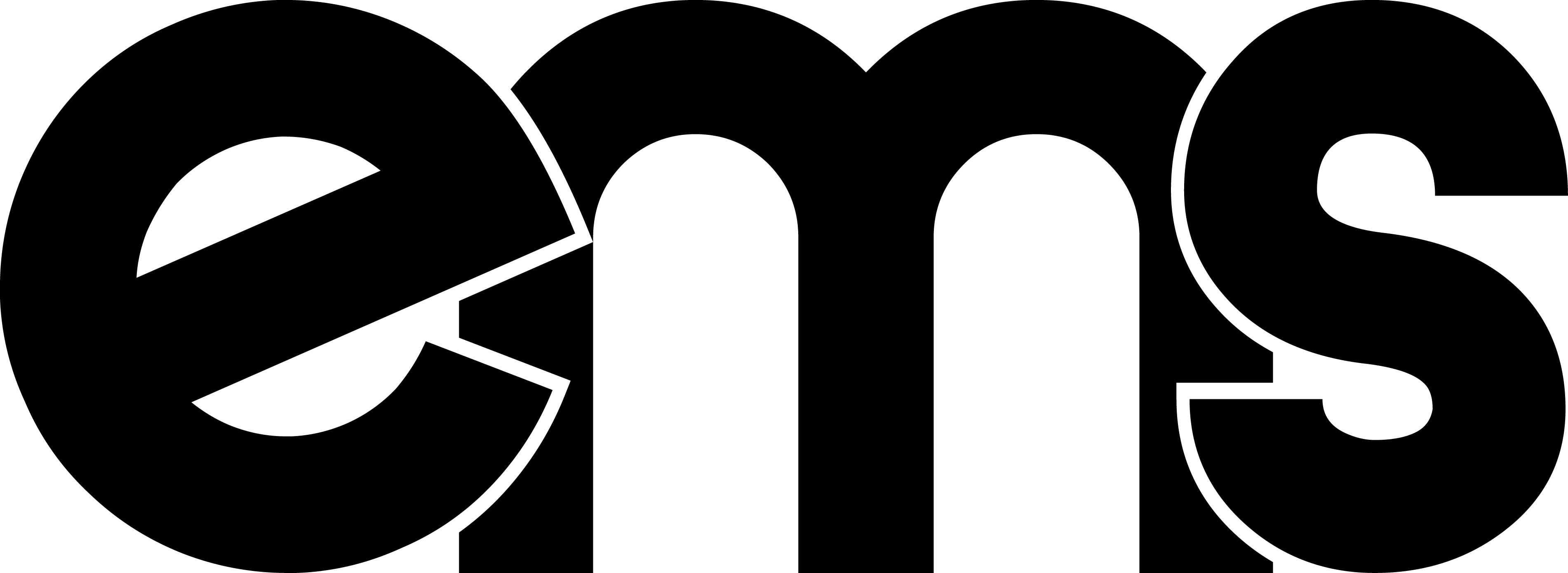 Effingham Mini Storage Logo - Effingham Mini Storage (3803x1389), Png Download