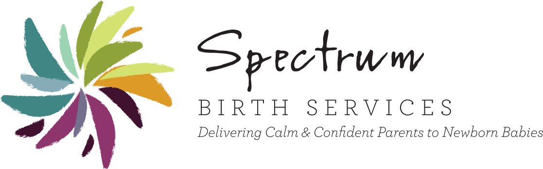 Spectrum Birth Services Spectrum Birth Services - Spectrum Birth Services (1136x369), Png Download