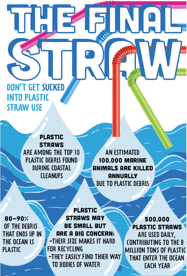 D-01 - Should We Stop Using Straws (600x897), Png Download
