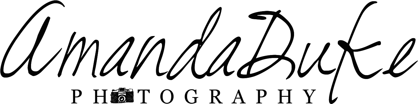 "vanity Fair" Photo Shoot - Calligraphy (1567x526), Png Download