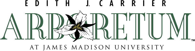 Carrier Arboretum At Jmu - Noteworthy Collections Ns-110 Banded Initial Custom (800x212), Png Download