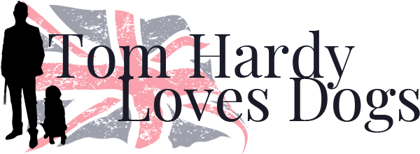 “professional Liar” Tom Hardy Knows How To Handle Hollywood's - Brexit Political T-shirt For The United Kingdom Eu (673x225), Png Download