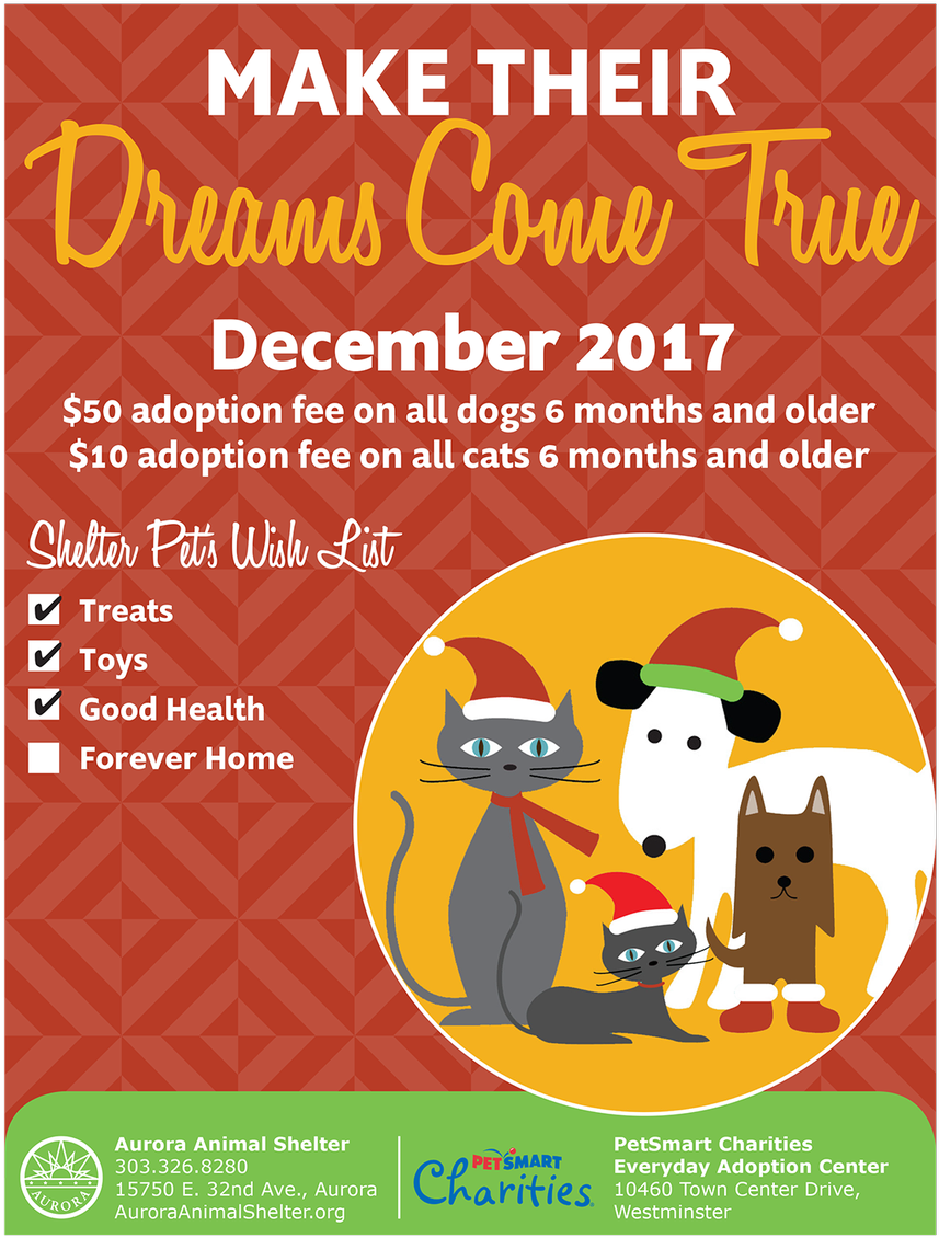 The Aurora Animal Shelter Has Adoption Specials At - Petsmart Charities (927x1200), Png Download
