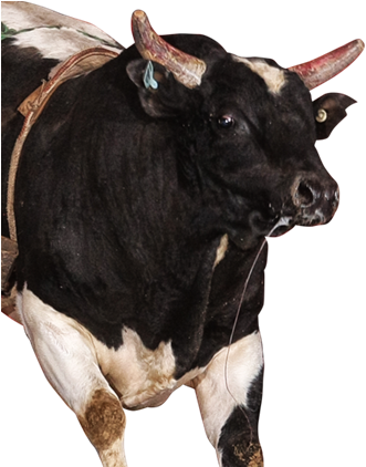 What A Burger - Bull (391x421), Png Download