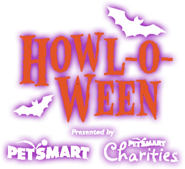 On Saturday And Sunday October 27th And 28th, The Phoenix - Graphic Design (416x372), Png Download