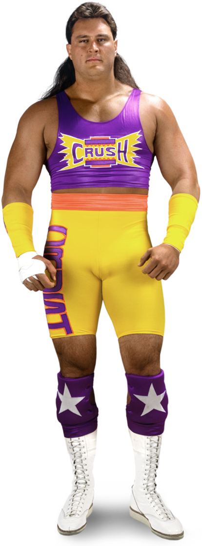 Tag Team Pro Wrestling Wiki Divas Knockouts Results - Wwf Wrestler Transparent Gif (500x1138), Png Download