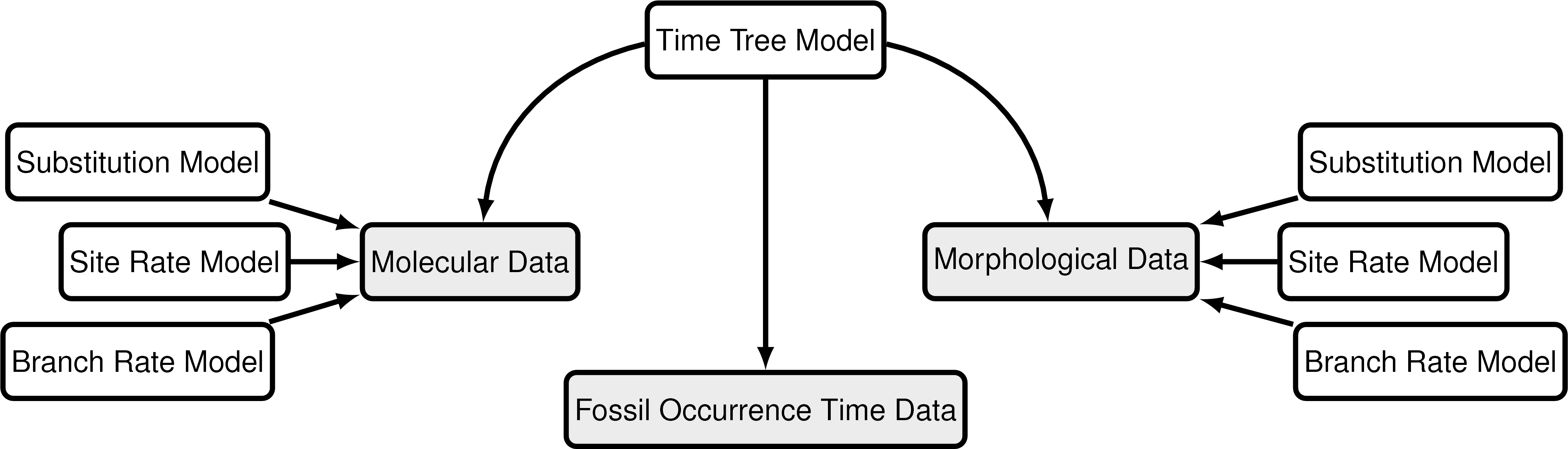 Modular Components Of The Graphical Model Used In The - Diagram (4546x1291), Png Download