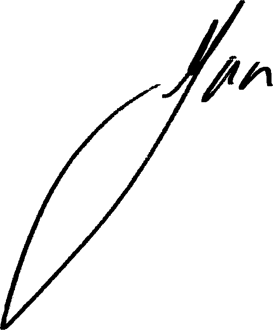 Avon Products, Inc - Line Art (549x662), Png Download