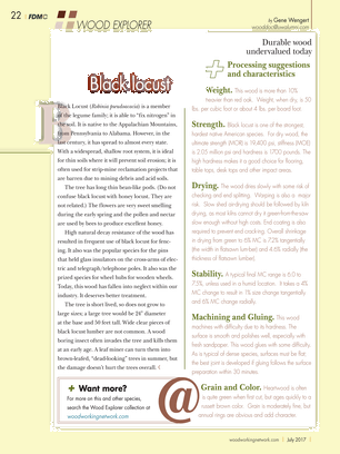 Plaza De San Marcos (306x408), Png Download