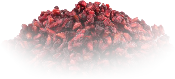 Pomegranate (595x269), Png Download