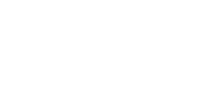 Amaa Registration Information - Maine-anjou Cattle (800x381), Png Download